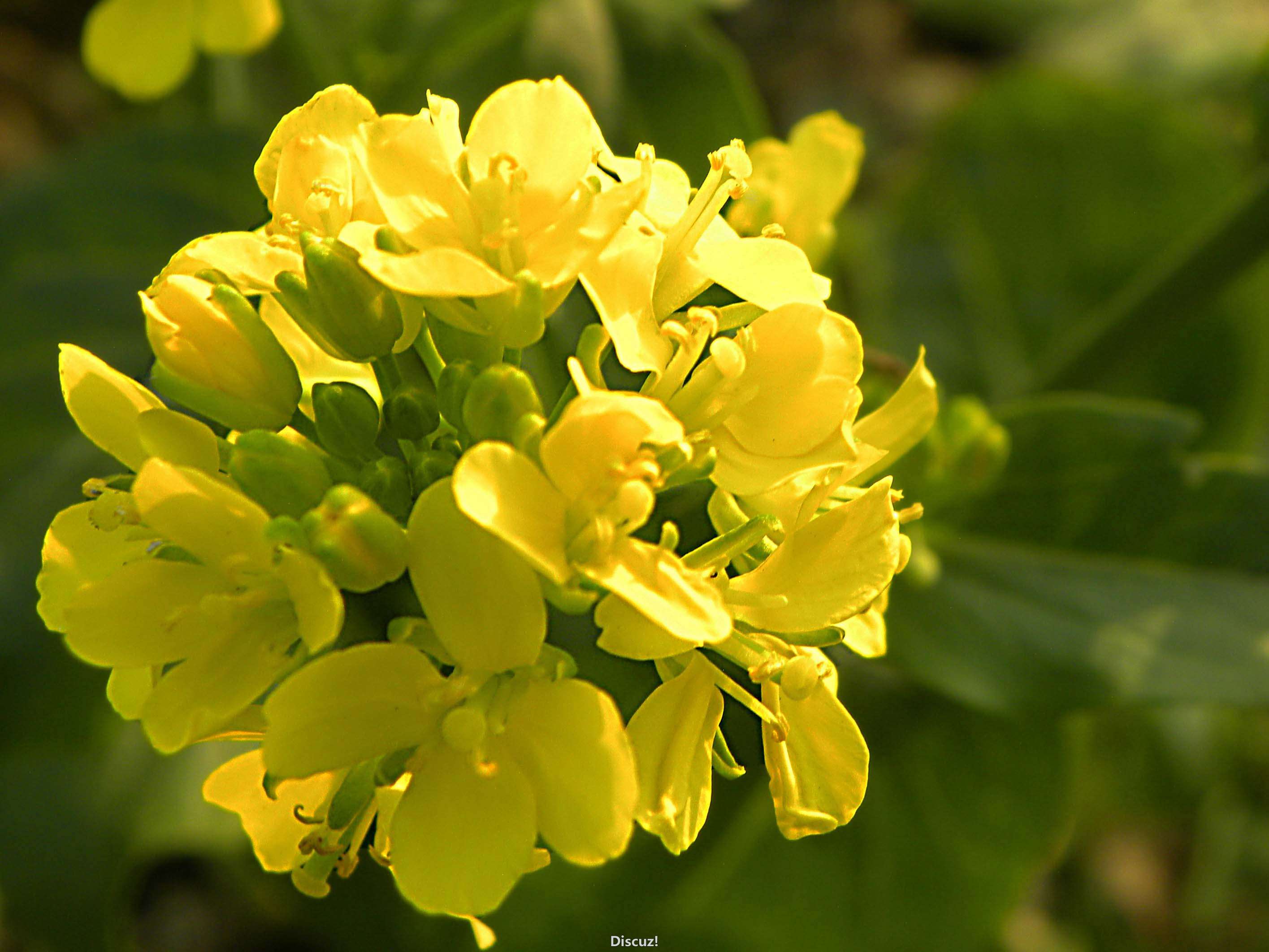 DSCN8557.jpg