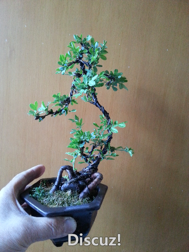 20160406_092050.jpg