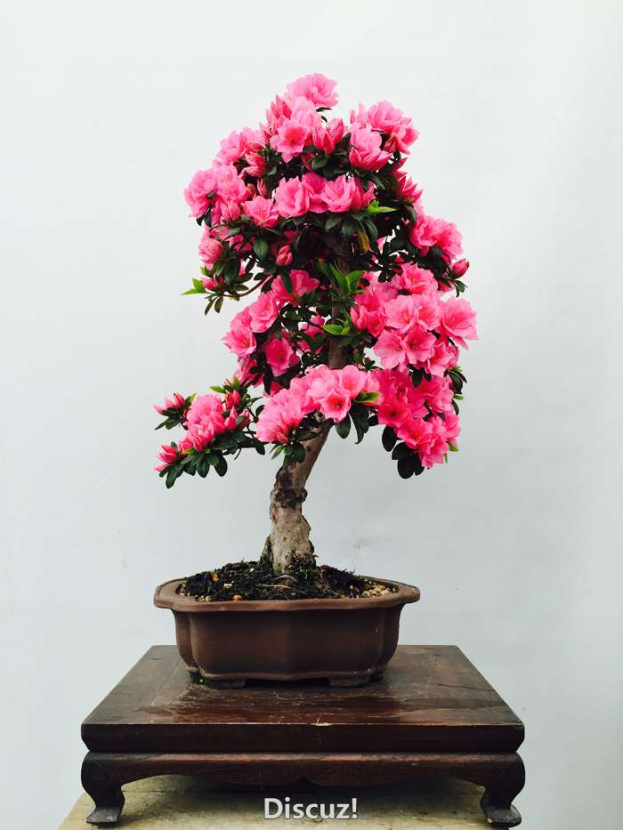 辰FullSizeRender(19).jpg