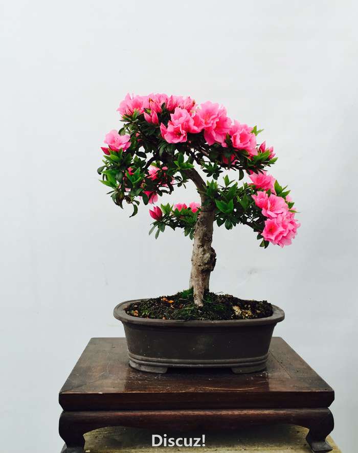 辰FullSizeRender(20).jpg