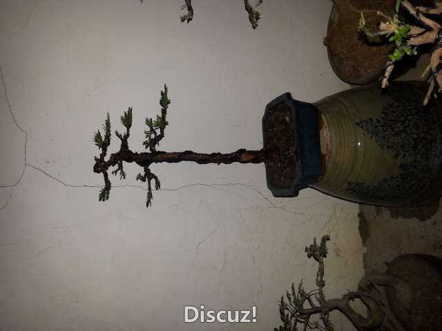20160405_192103.jpg