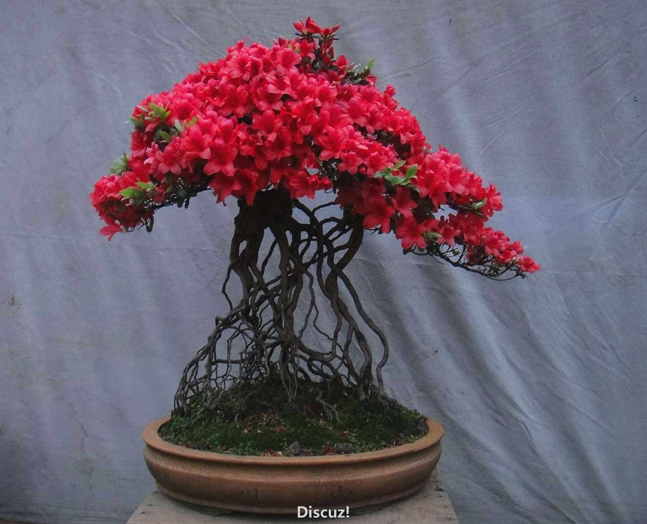 Ƭ 033_ͼ(1).jpg
