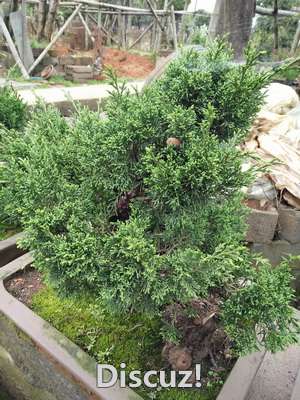 IMG20160404085658_С_С.jpg