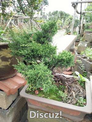 IMG20160404085737_С_С.jpg