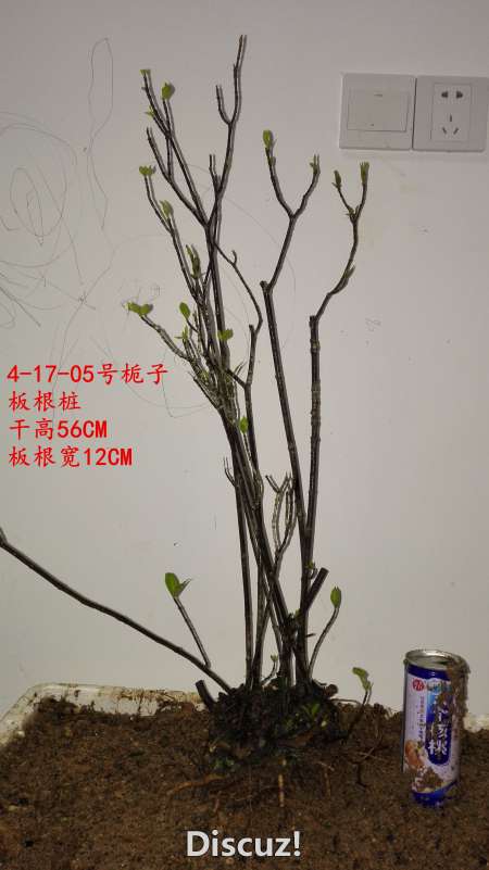 IMG_20160417_192713_.jpg