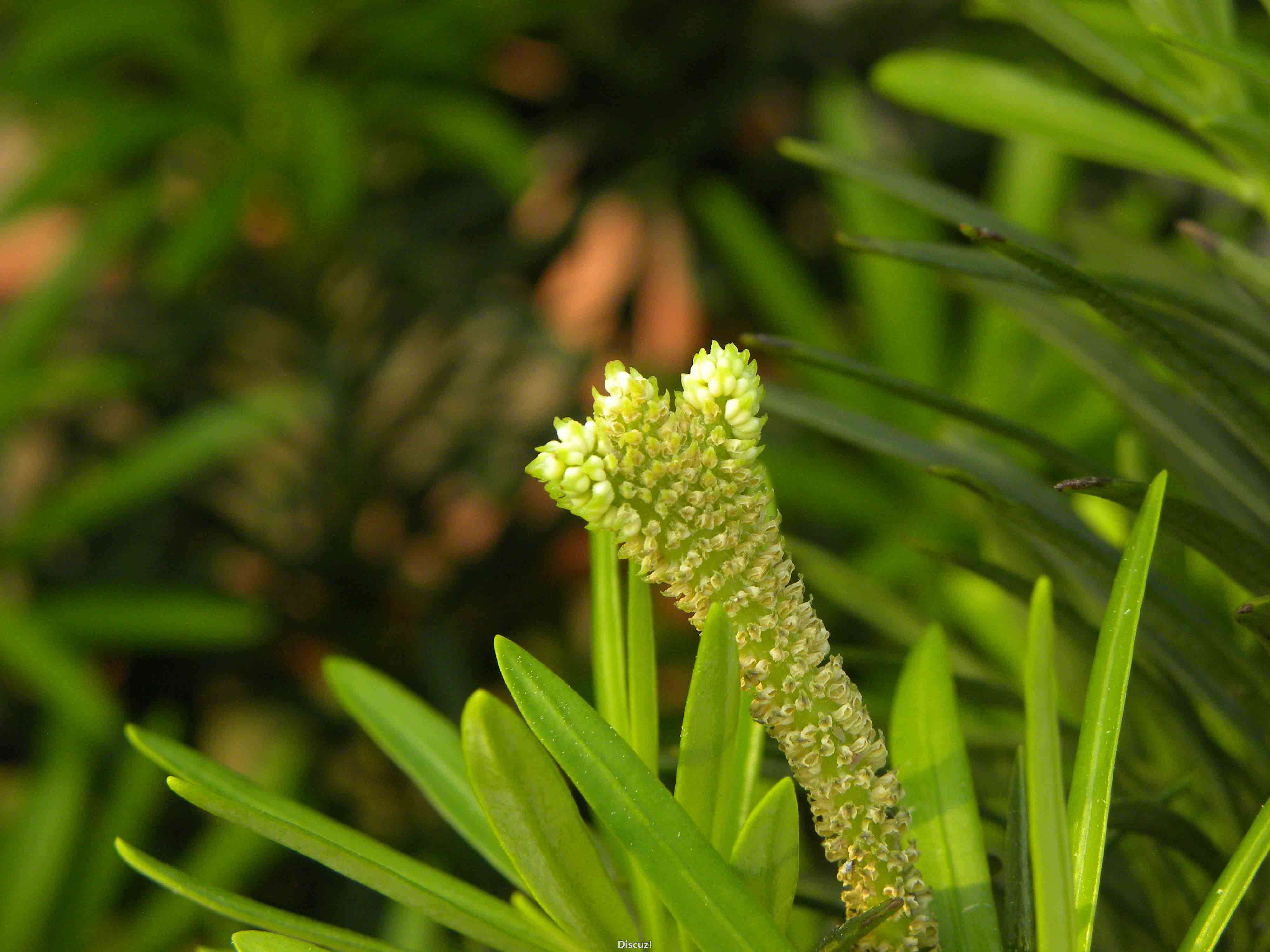 DSCN9267.JPG
