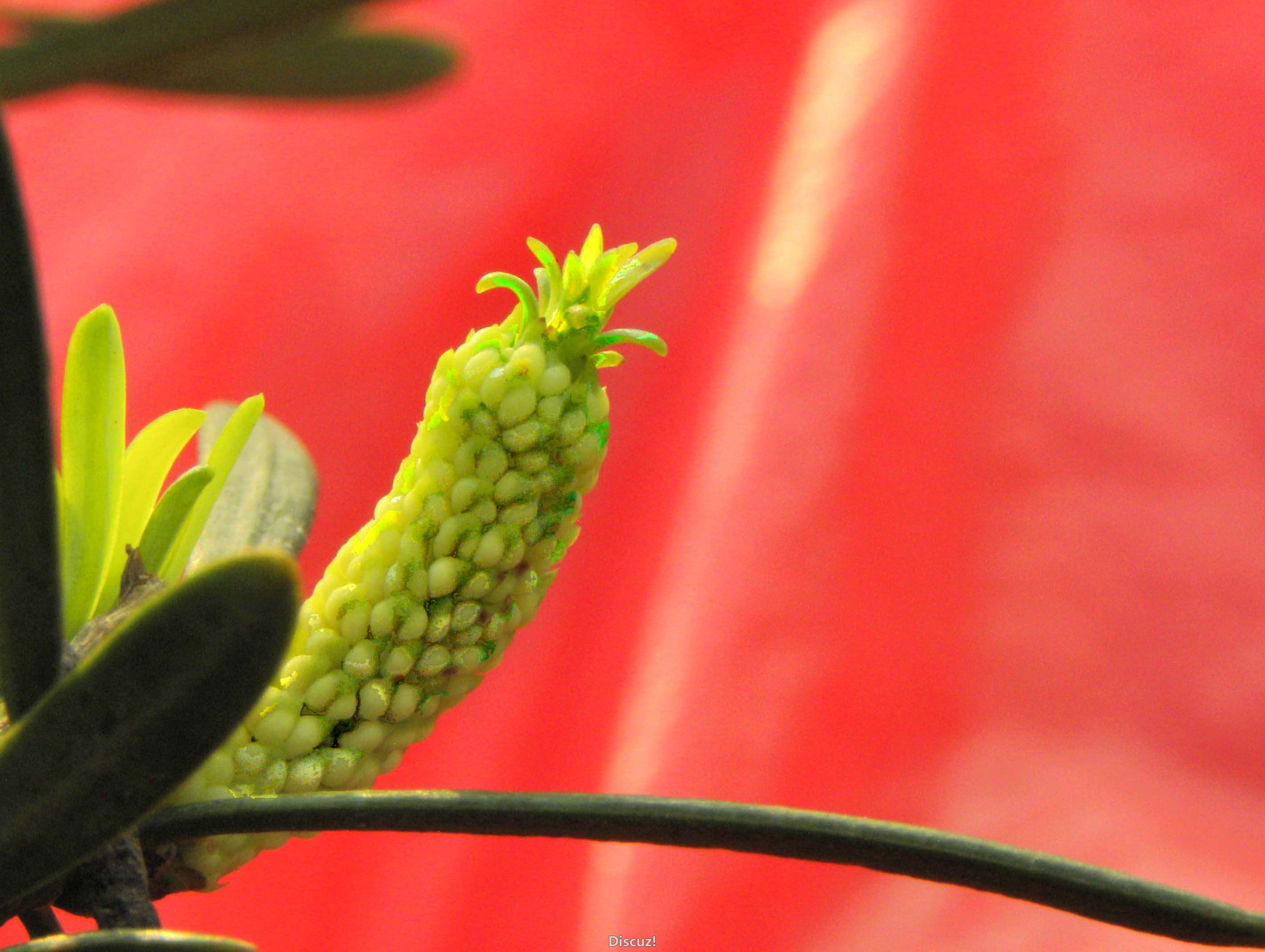 DSCN9282.JPG