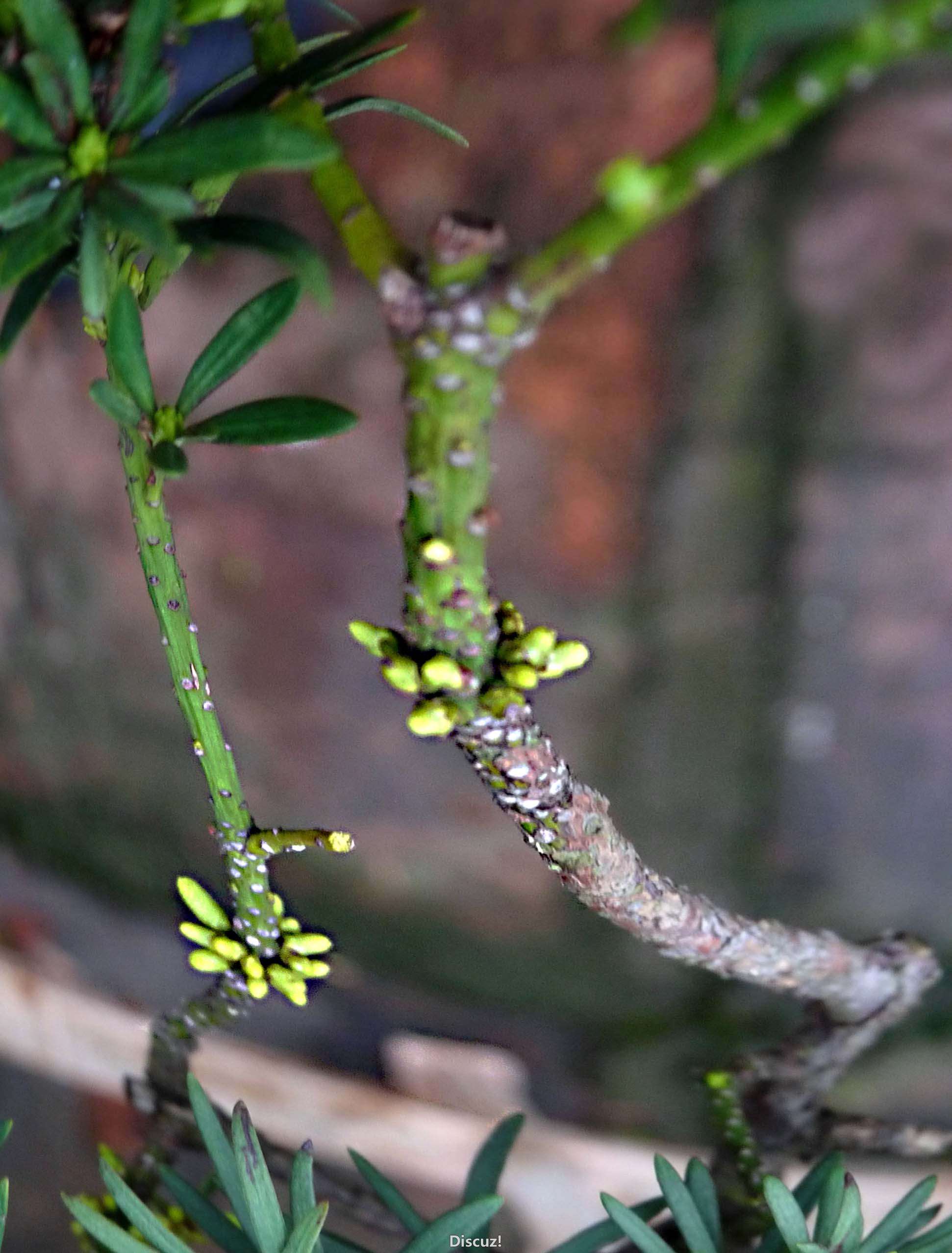 P1050231.JPG