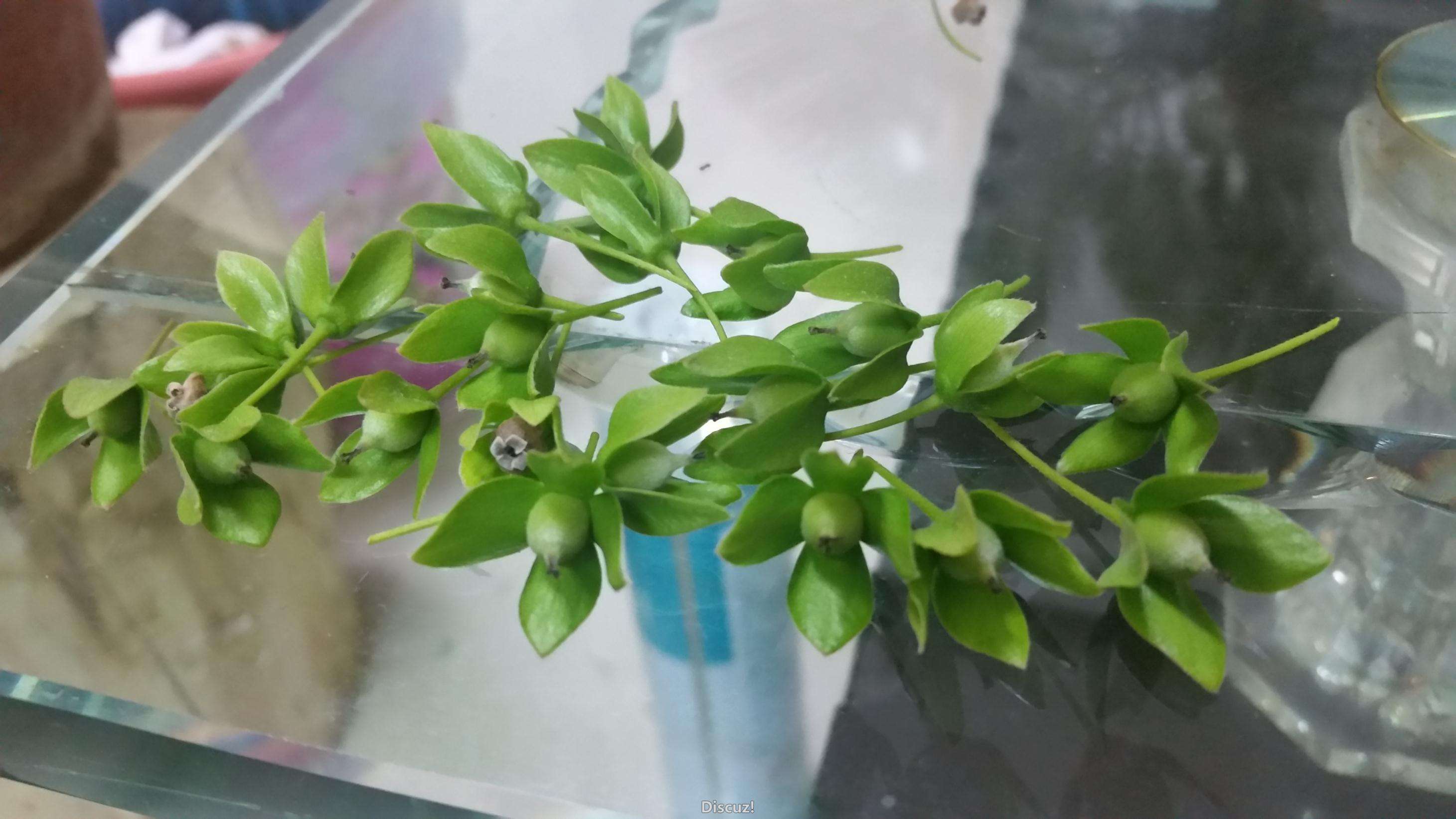 20160422_215437.jpg