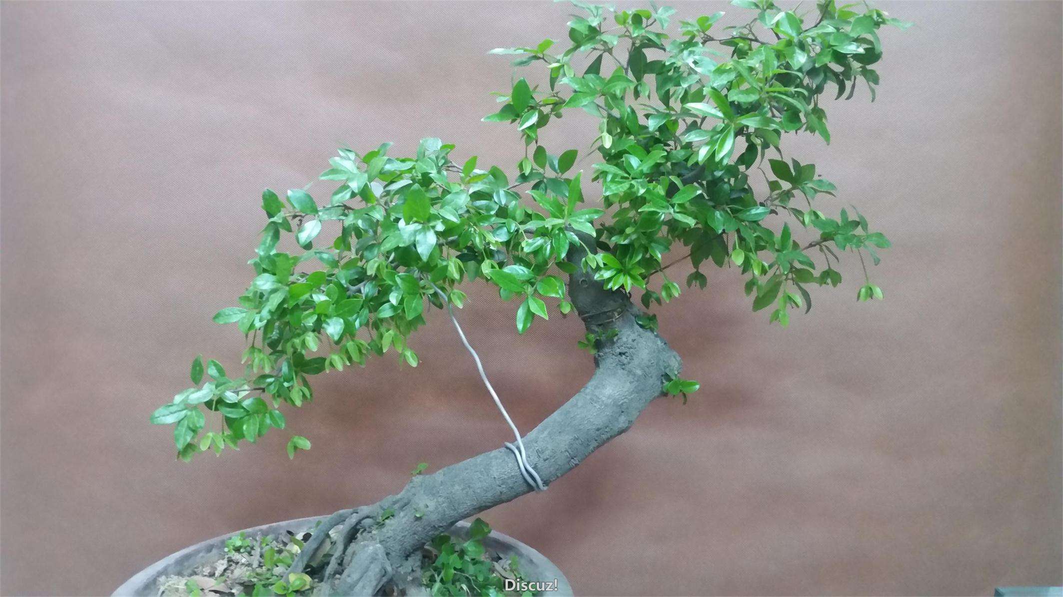20160422_221739.jpg