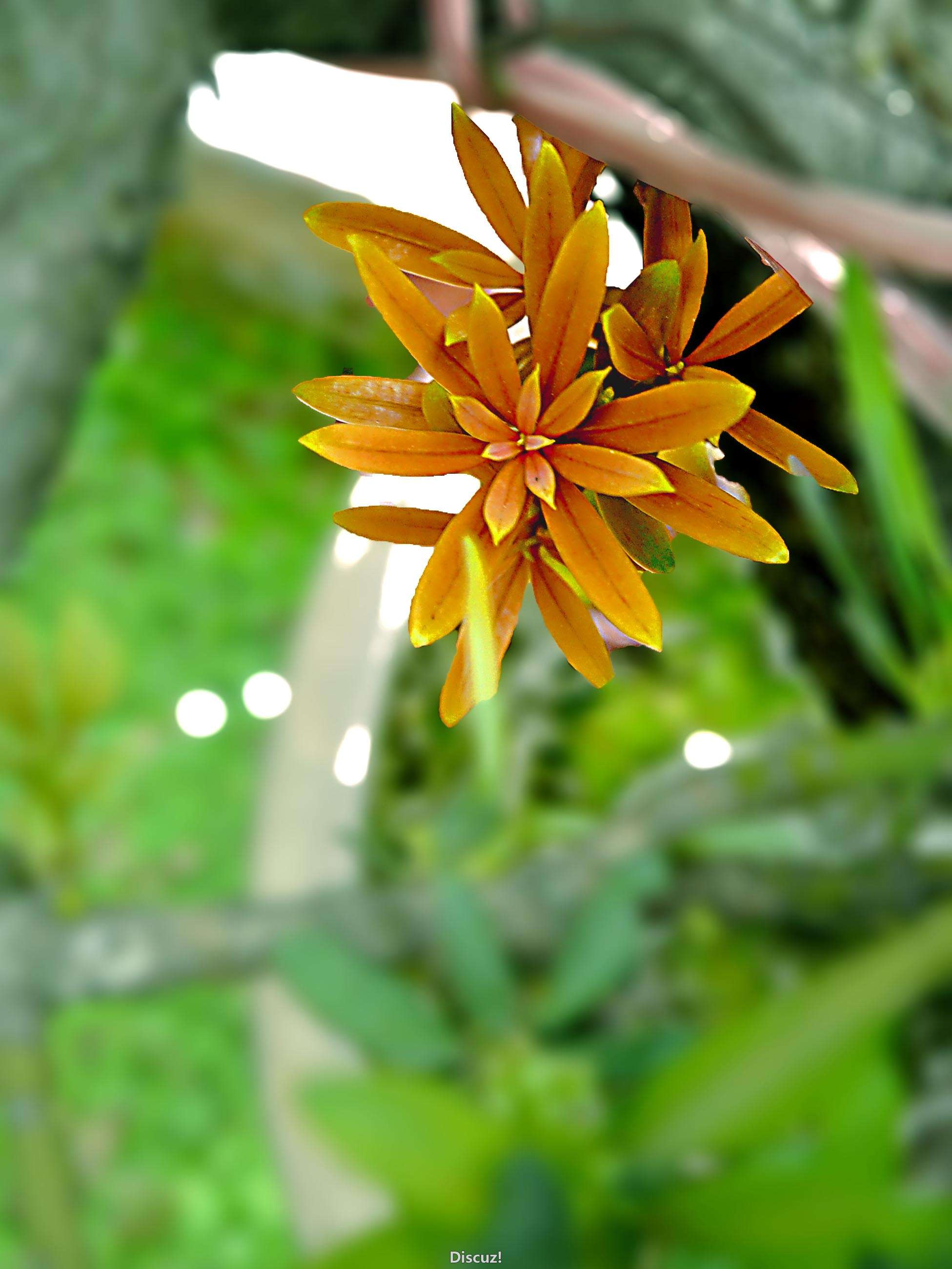 P1050165.JPG