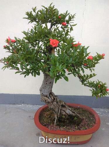IMAG0536.jpg