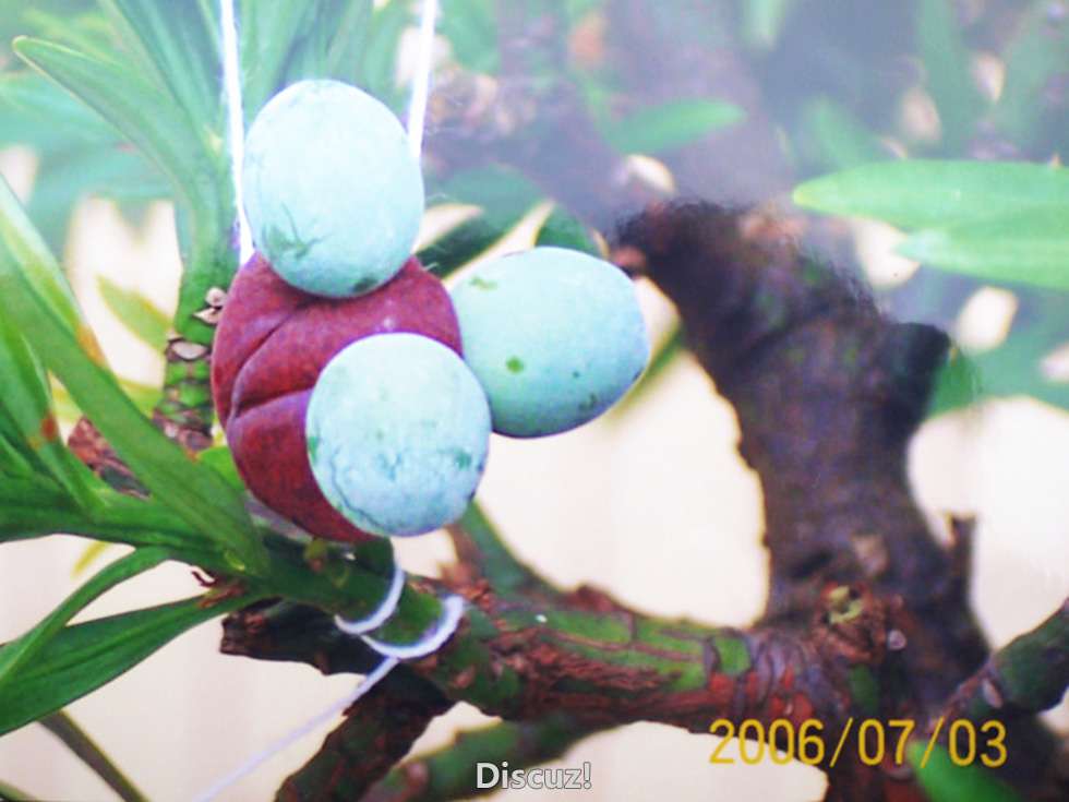P1060746_.jpg