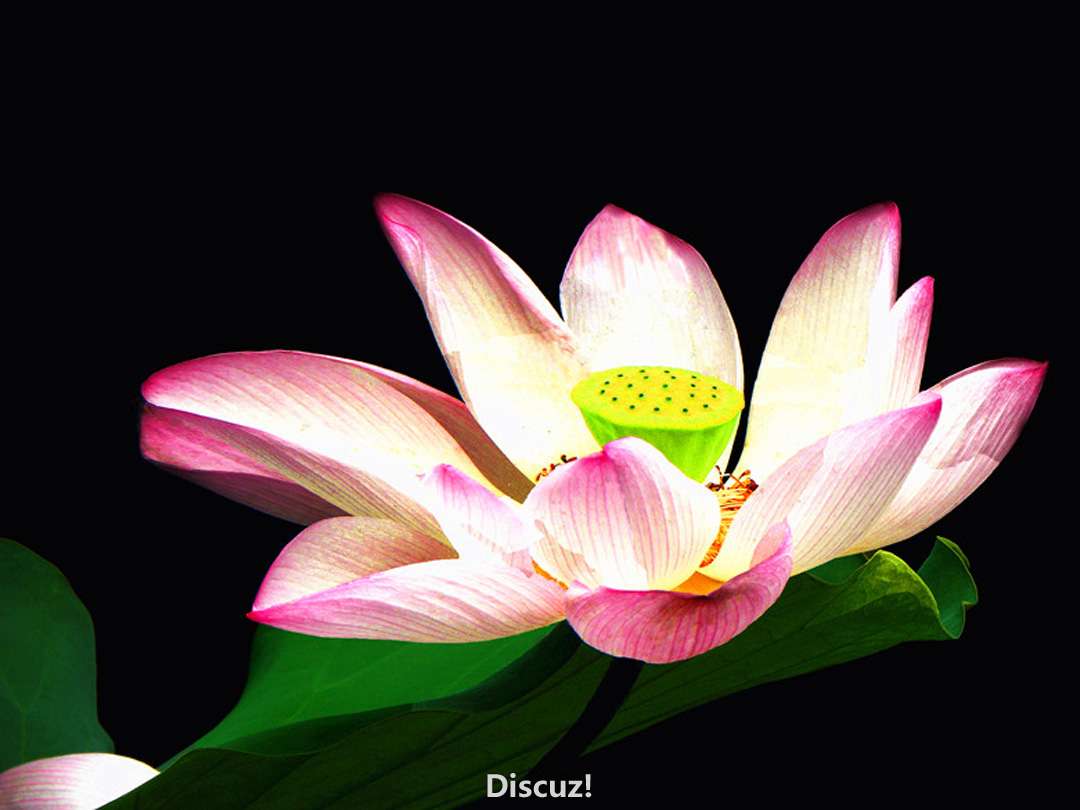 DSCN6691.jpg