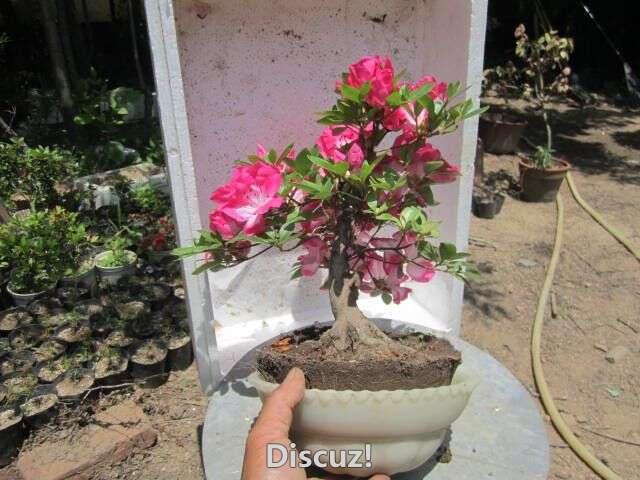 QQͼƬ20160523005945.jpg