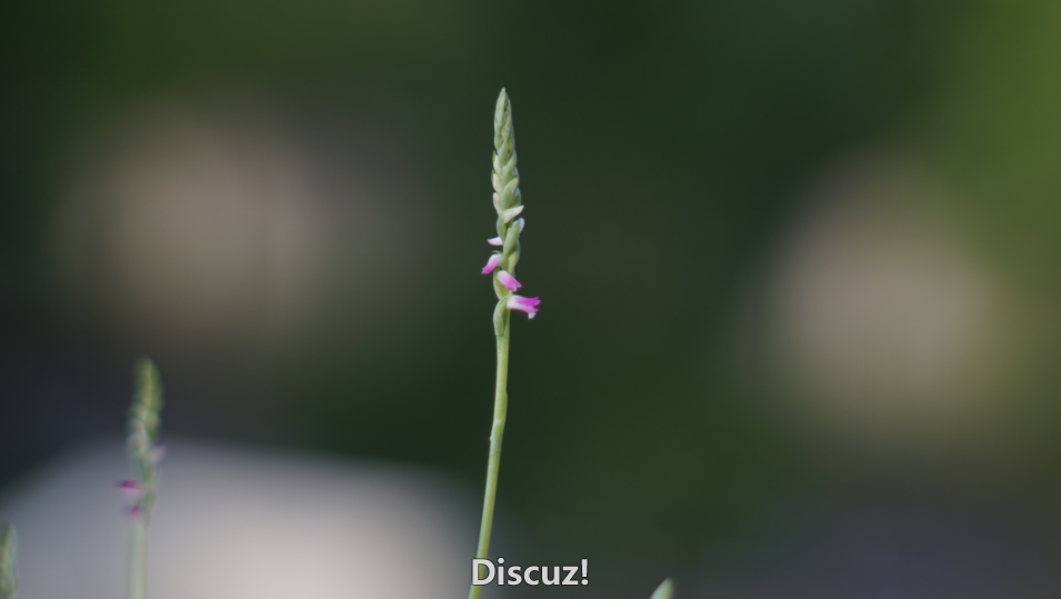 QQͼ20160531082509.png