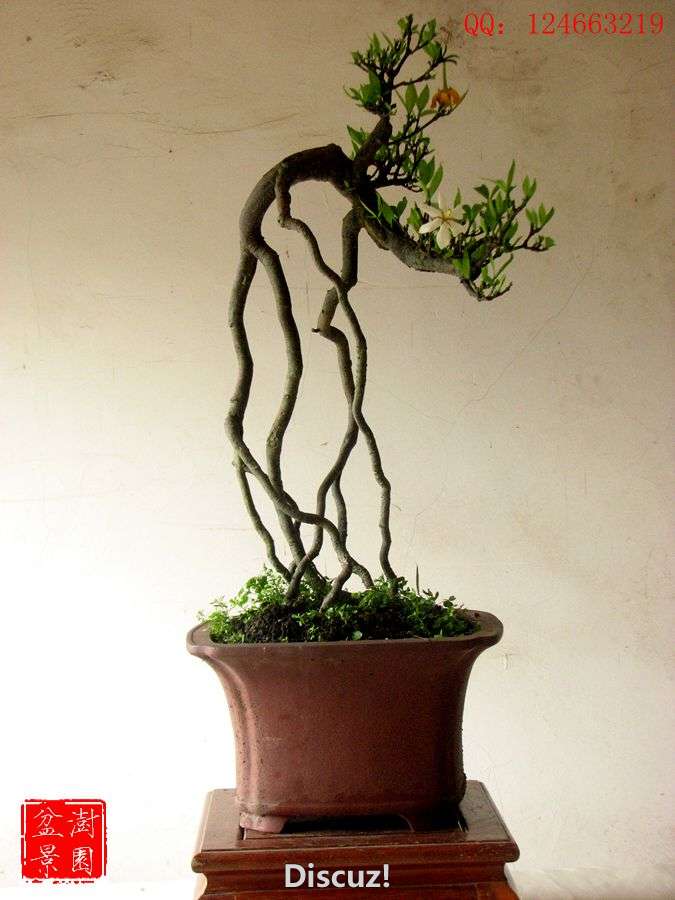 IMG_2644__.jpg