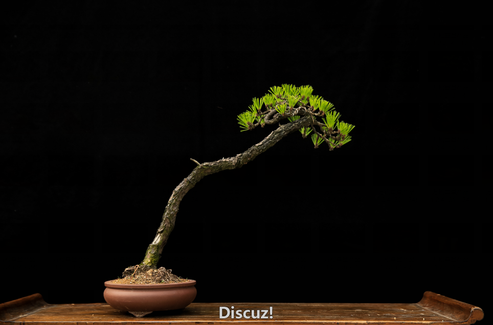 QQͼƬ20160607182610.png