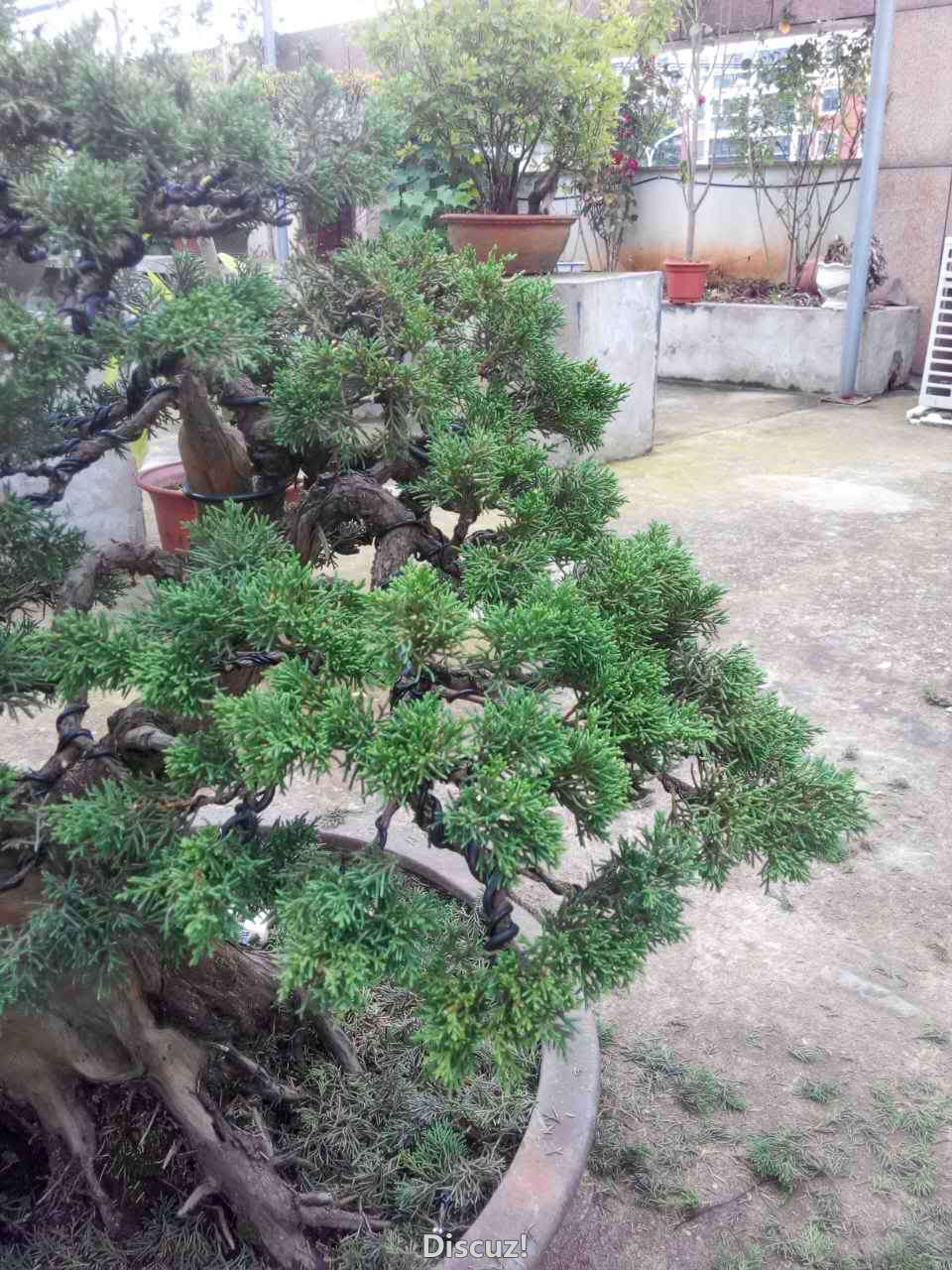 046CAF6D19D4245B8E268299D42E9F05.png