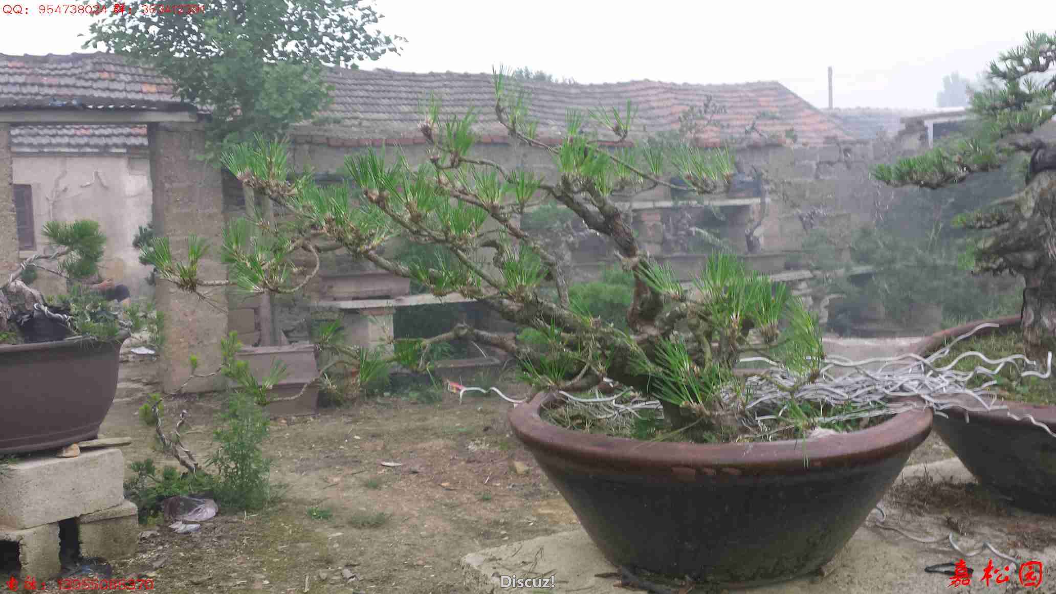 20160611_183354.jpg