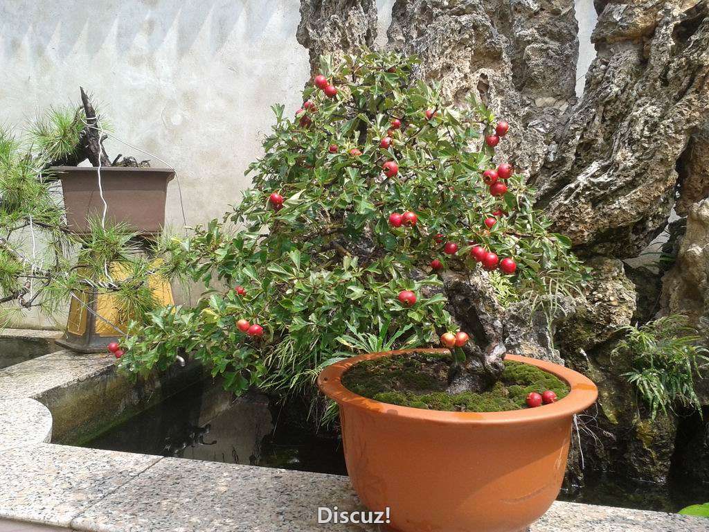20130914_120658.jpg