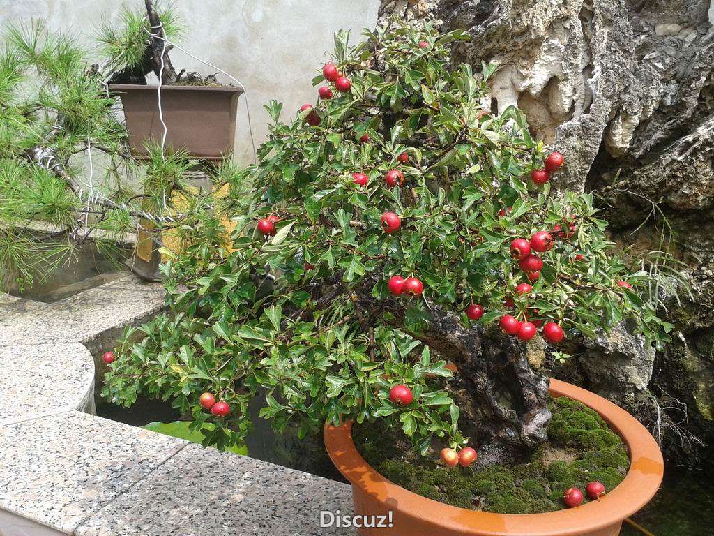 20130914_120646.jpg