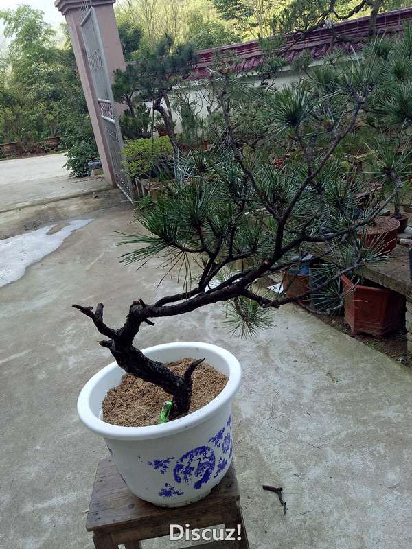 QQͼƬ20160614152723_.jpg