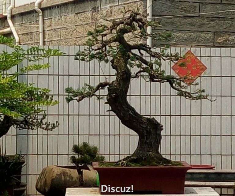 QQͼƬ20.jpg
