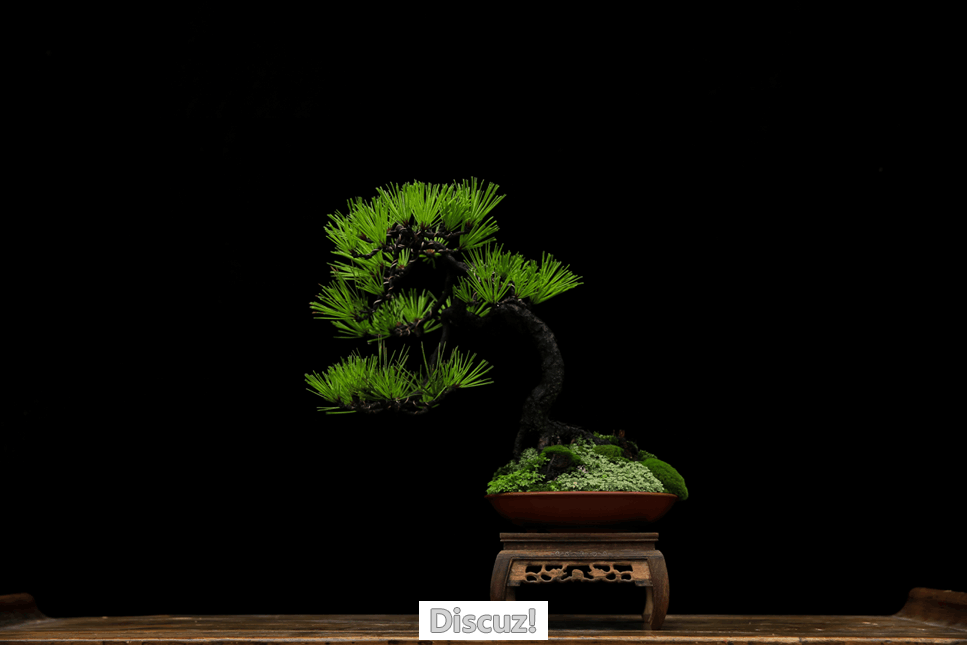 QQͼƬ20160626091424.png