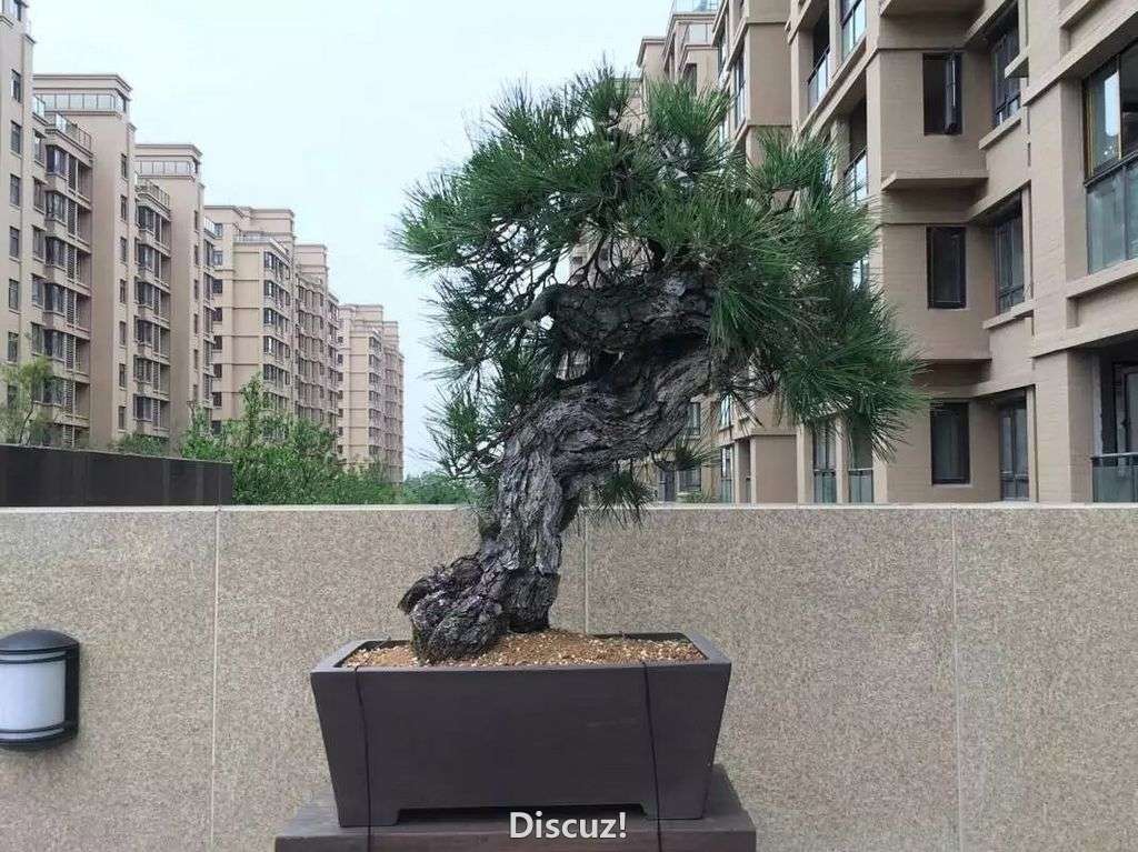 ز~.jpg
