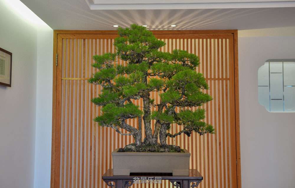 DSC_5024.jpg