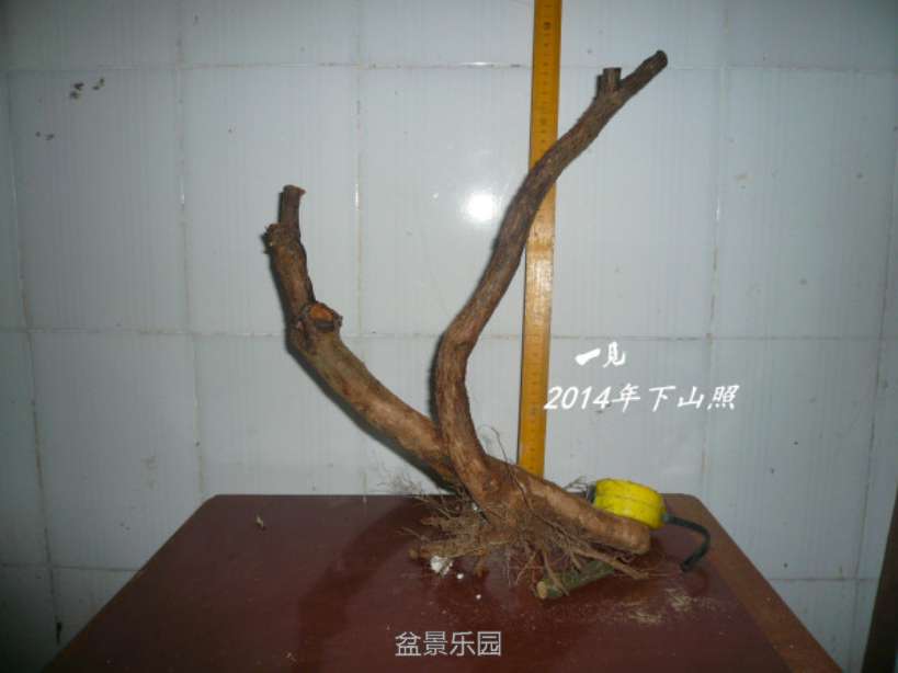 P1070865_.jpg