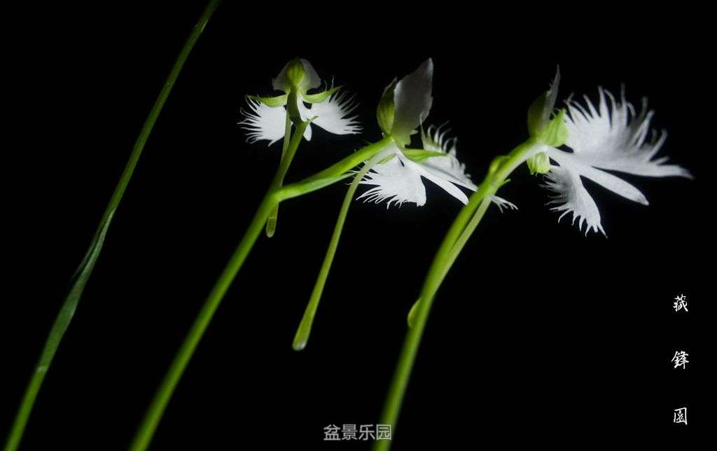 20160718-DSC_2223__.jpg