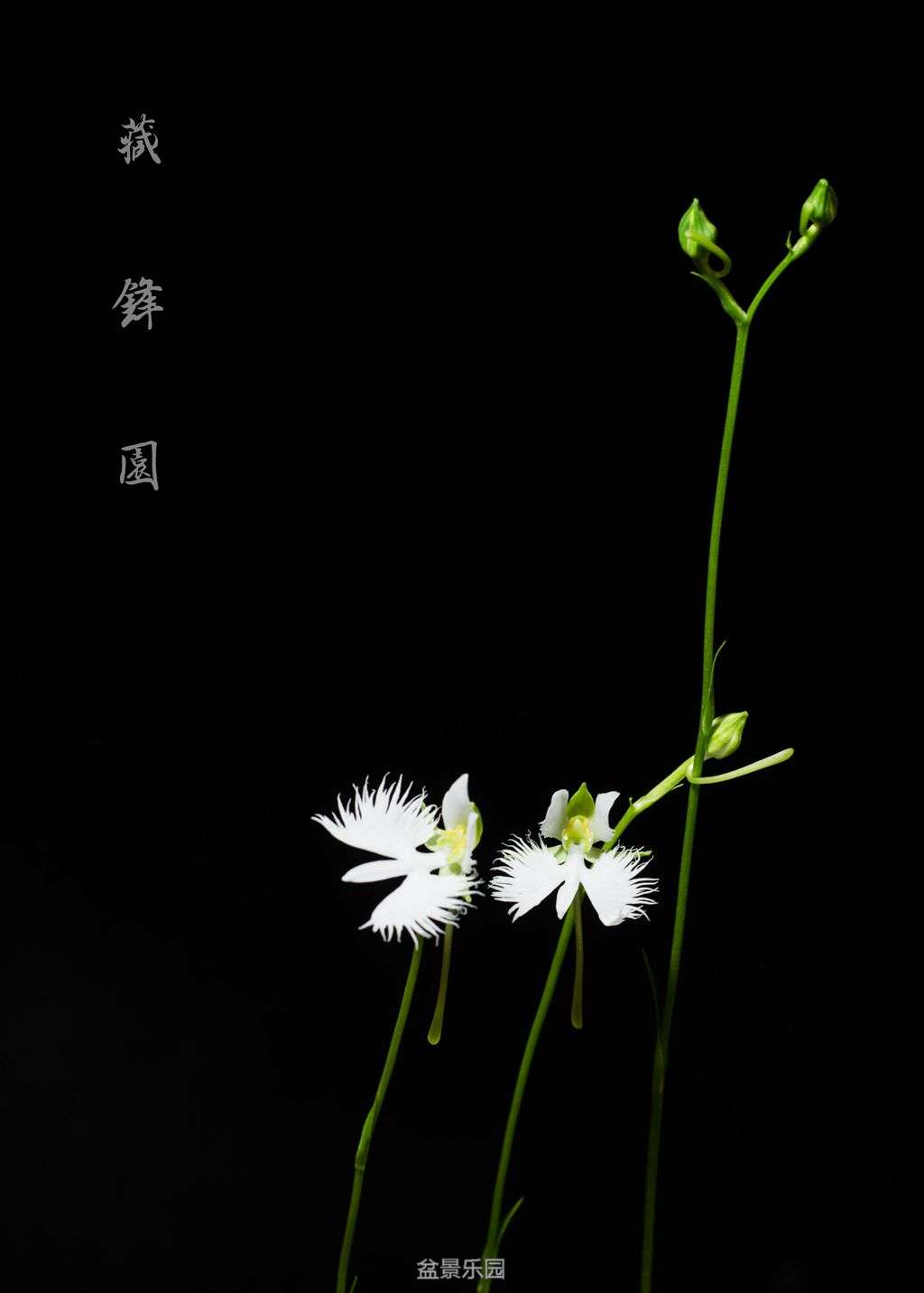 20160716-DSC_1997__.jpg