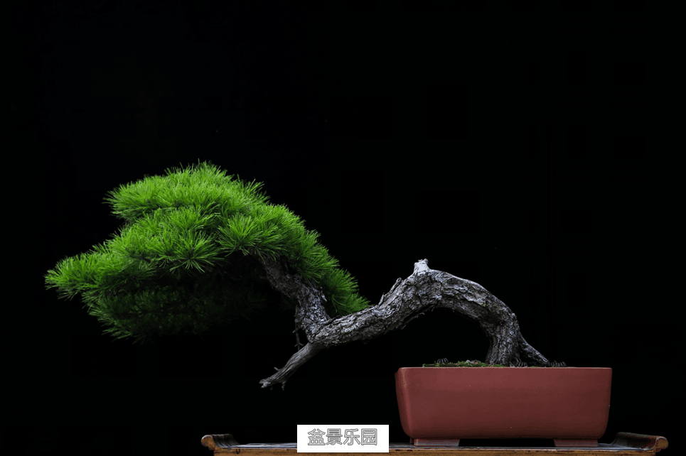 QQͼƬ20160730224525.png