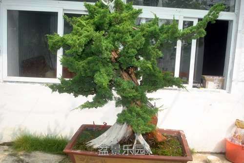 DSC_1104.JPG10.JPG