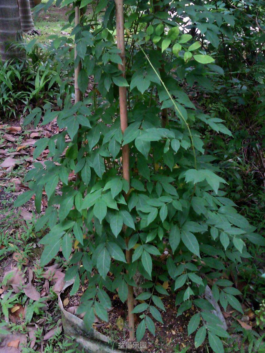 SNC05654.jpg