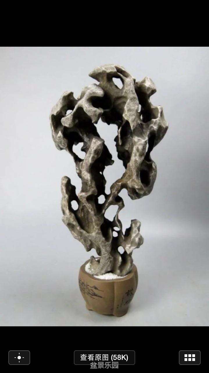 48563061517440109.jpg