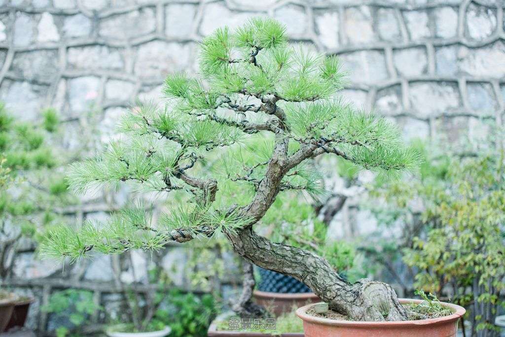 DSC_5151_.jpg