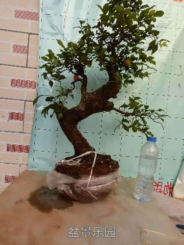 IMG20161008161630.jpg