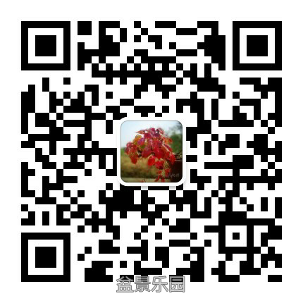 mmqrcode1475652723583.png