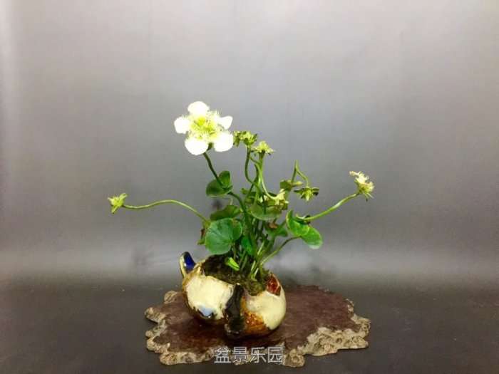 psb (18).jpg