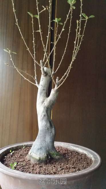 20161031_140505.jpg