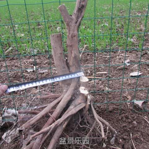 ͼƬ 025.jpg