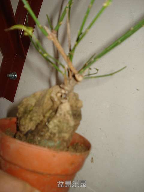 DSC02159.JPG