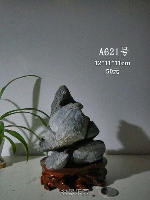 a621.jpg