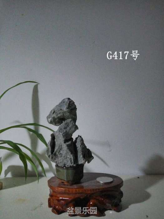 g417.jpg