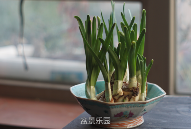 QQ截图20161203215742.png