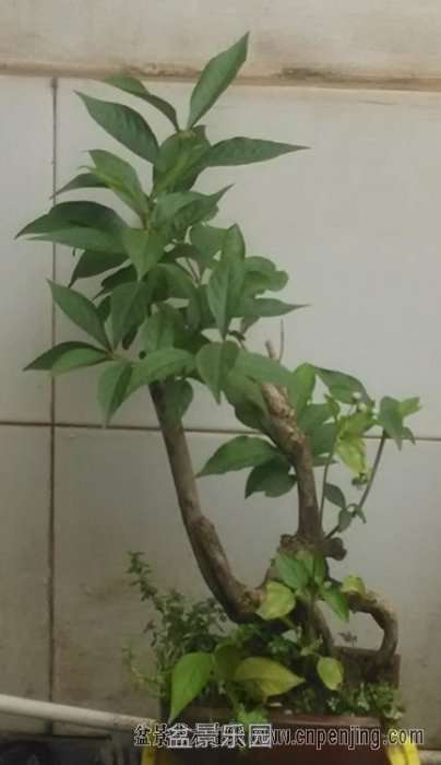 155655t0sqa8jzsh0aqaik.jpg