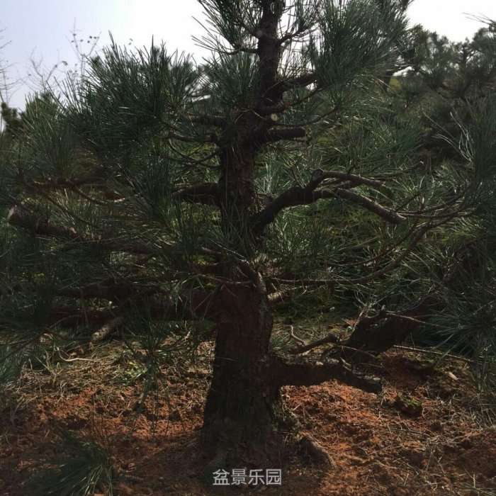 QQͼƬ20161206181850.jpg